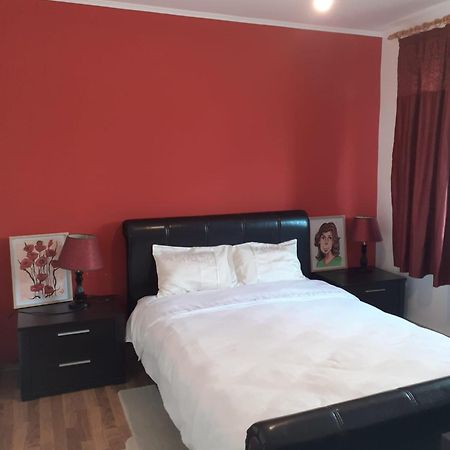 Apartament Cu 3 Camere La Poala Muntilor Fagaras Victoria  Exterior foto