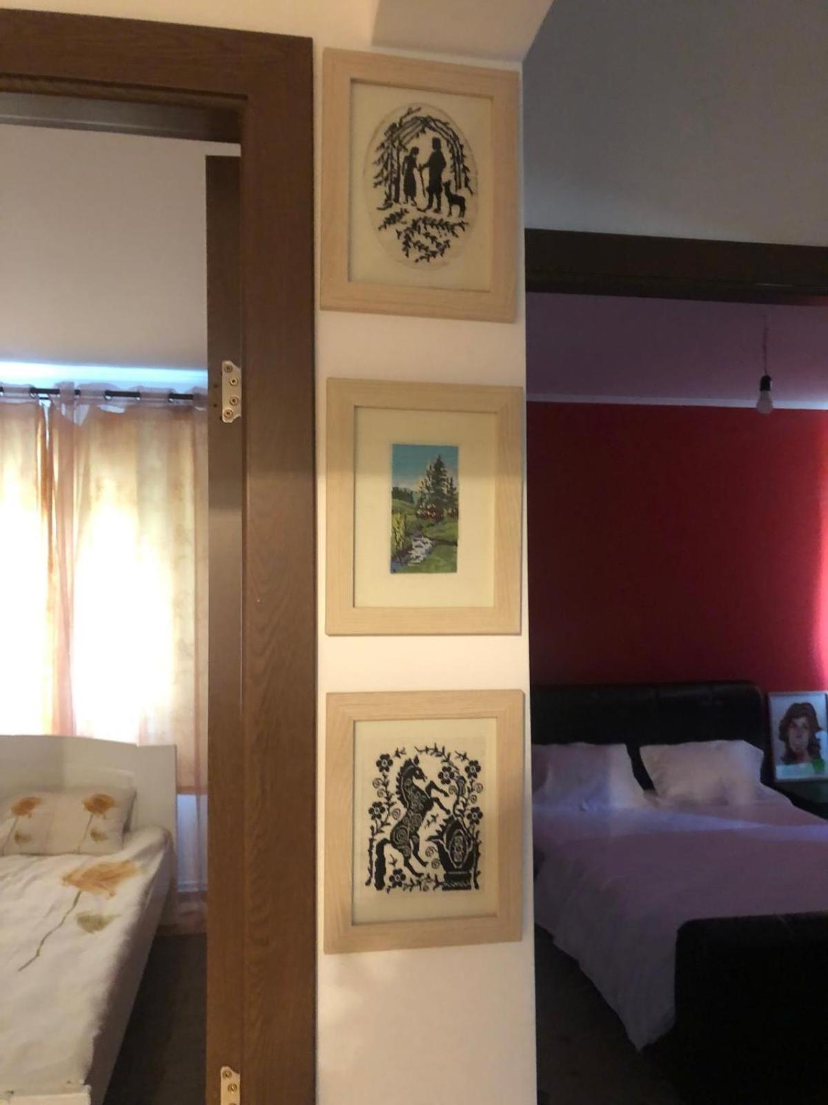 Apartament Cu 3 Camere La Poala Muntilor Fagaras Victoria  Exterior foto